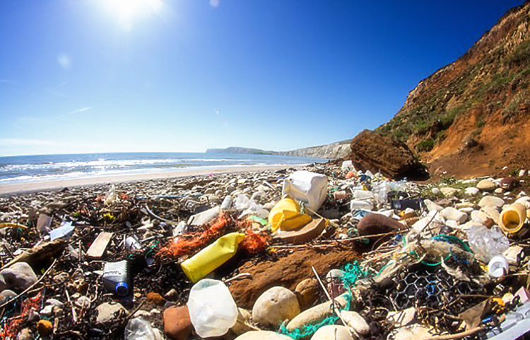 Plastic Pollution on Isle of Wight beach